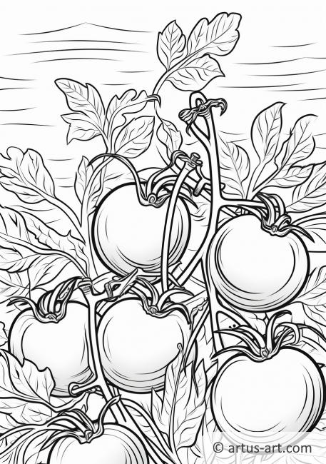 Pagina da colorare del giardino di pomodori